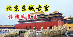 大鸡巴操小穴免费视频中国北京-东城古宫旅游风景区